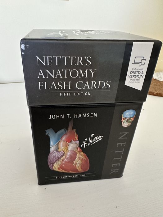 Fiszki Anatomia Nettera w języku angielskim