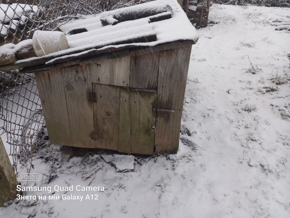 Клітки для кролів