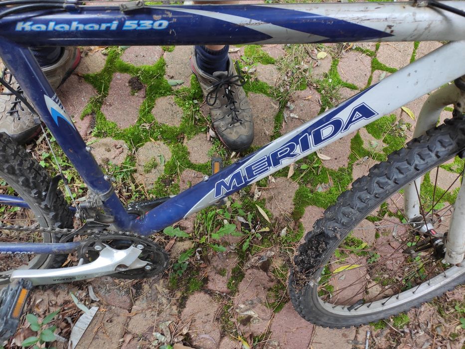 Rower Merida Kalahari 530