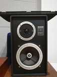 Kolumny Grundig box 550 prof.