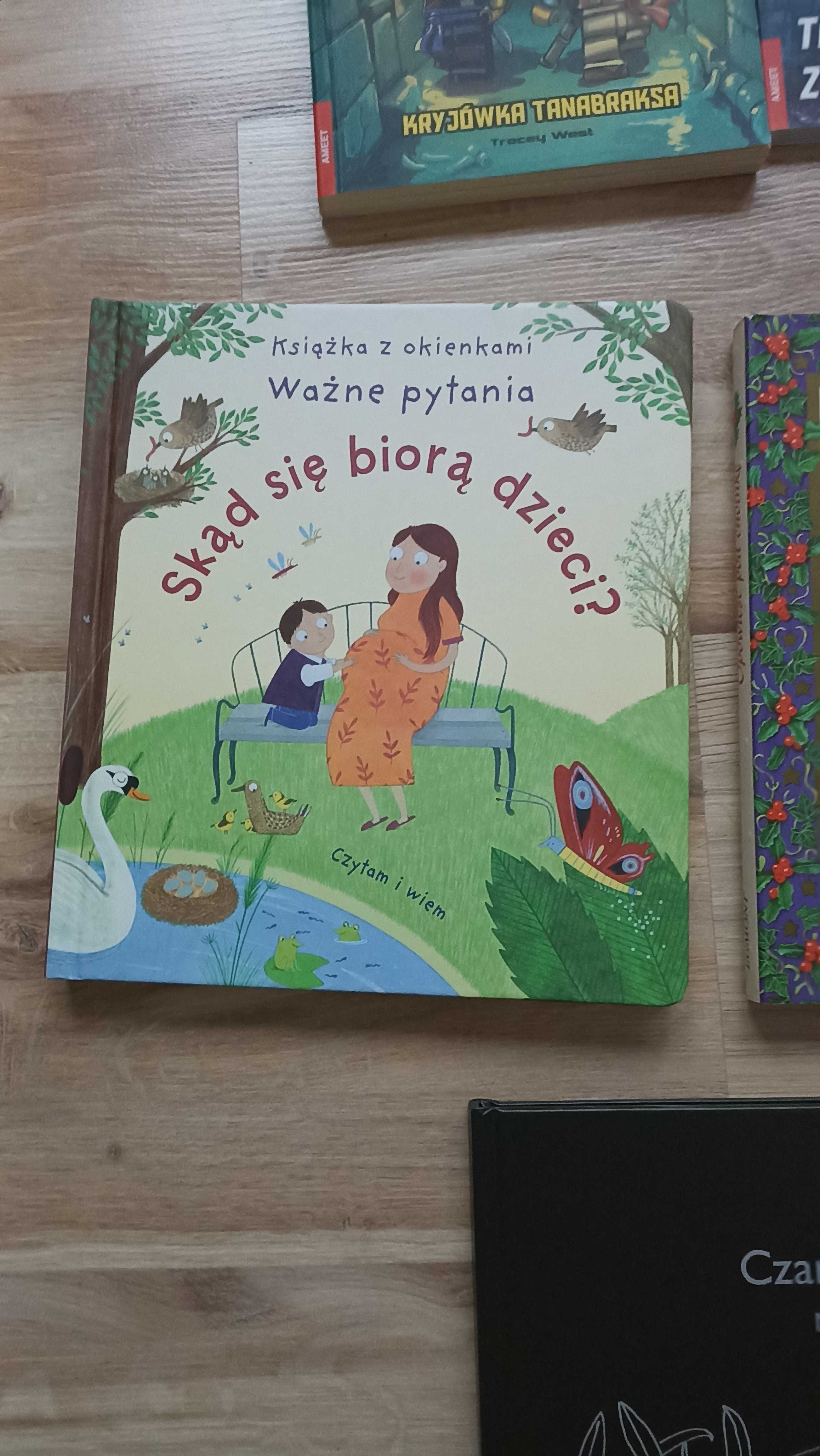 Skąd się biorą dzieci? Książka z okienkami. Ważne pytania Katie Daynes