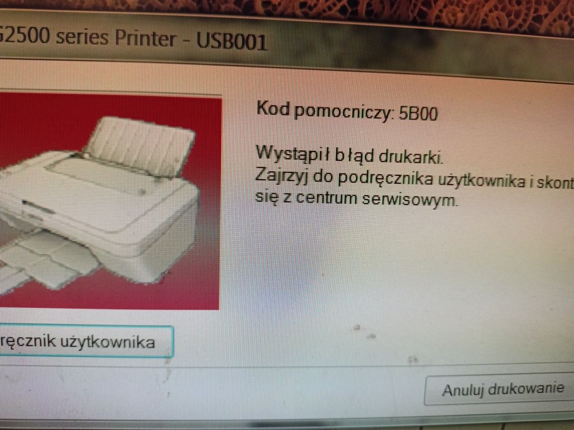 Canon PIXMA  mg 2550s uszkodzona
