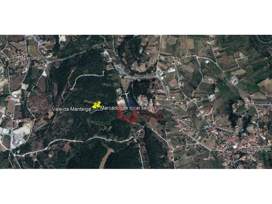Terreno rústico/florestal com 11.800m2 com poço, no Reguengo do Fétal.