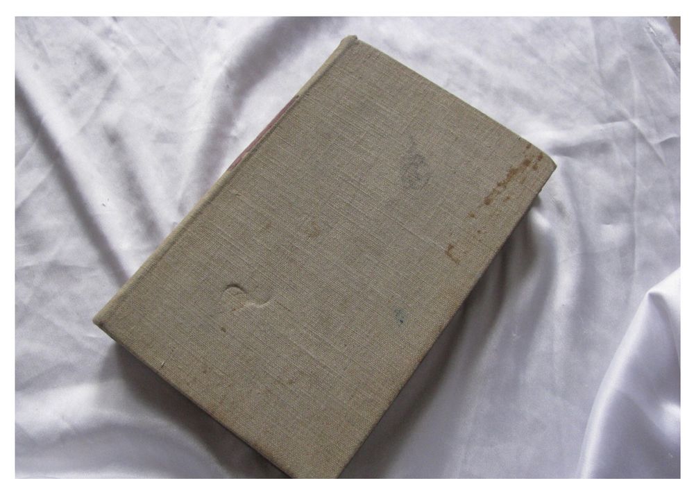 Rys dziejów literatury Polskiej Aleksandra Zdanowicz Leonard Sowiński