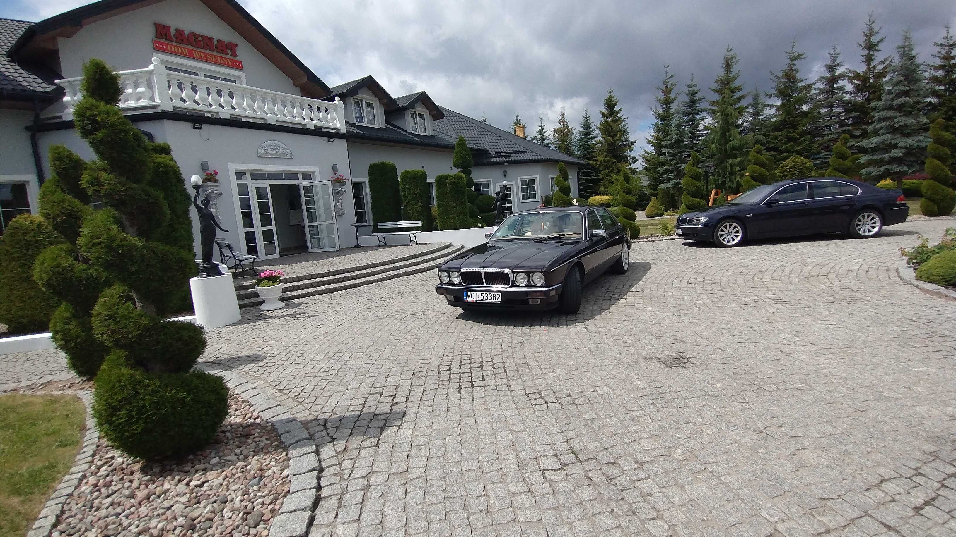 Jaguar XJ40 Daimler - wynajem auta wraz z kierowcą na śluby, wesela.