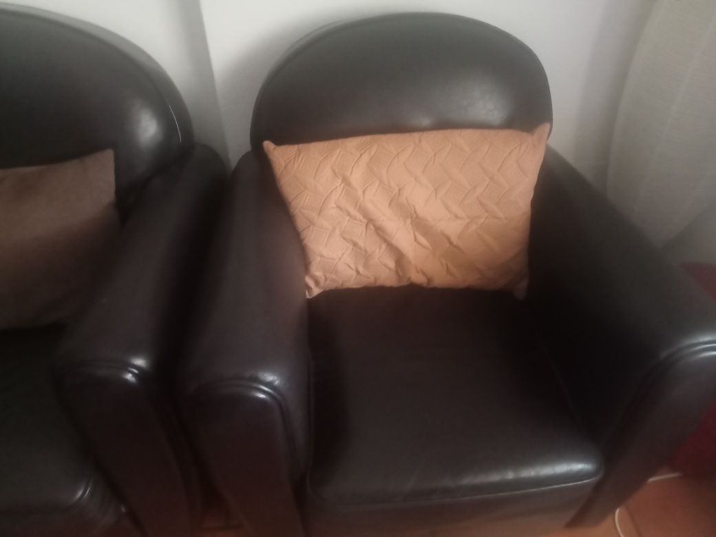 Vendo  Conjunto Sofás em Pele