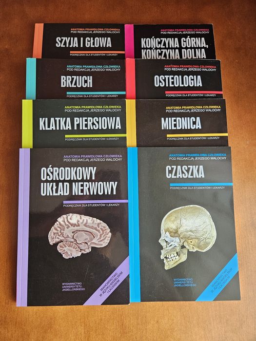 Anatomia prawidłowa człowieka-pakiet