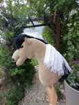 Konik Hobby Horse A3
