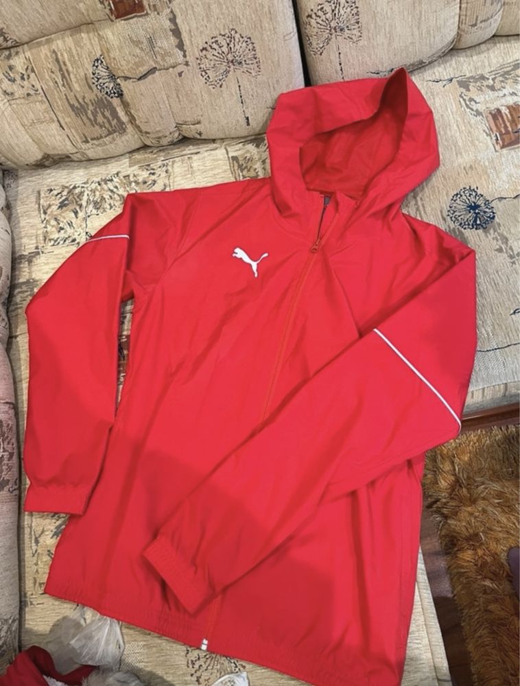 Męska kurtka puma 38 czerwona