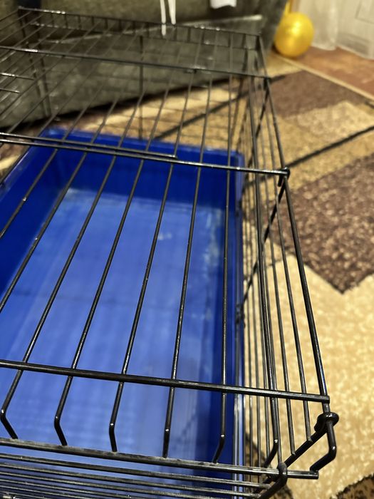 Клетка, клітка - для гризунів.