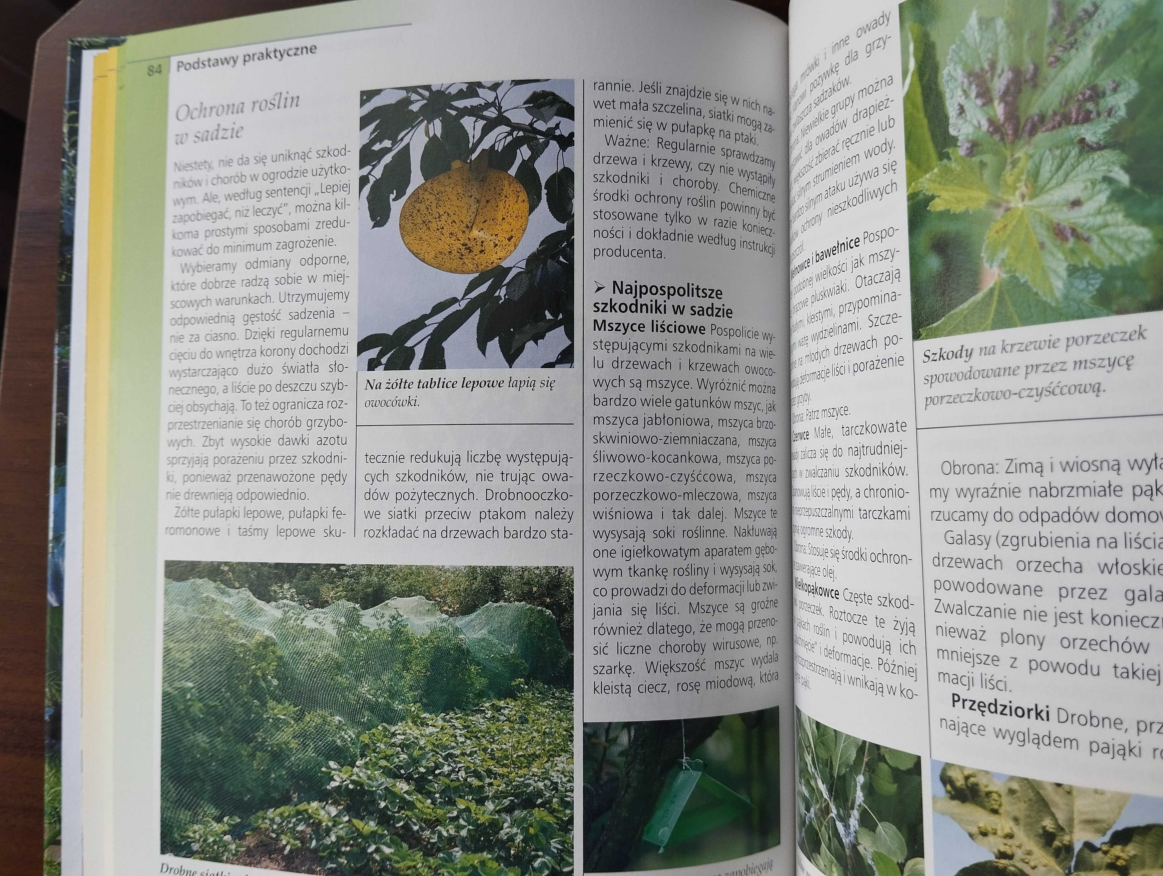 PORADNIK ogrodnika,  kompendium wiedzy - Ogród pełen warzyw i owoców