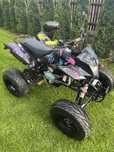 Quad Bashan 200/250cm3. Homologacja