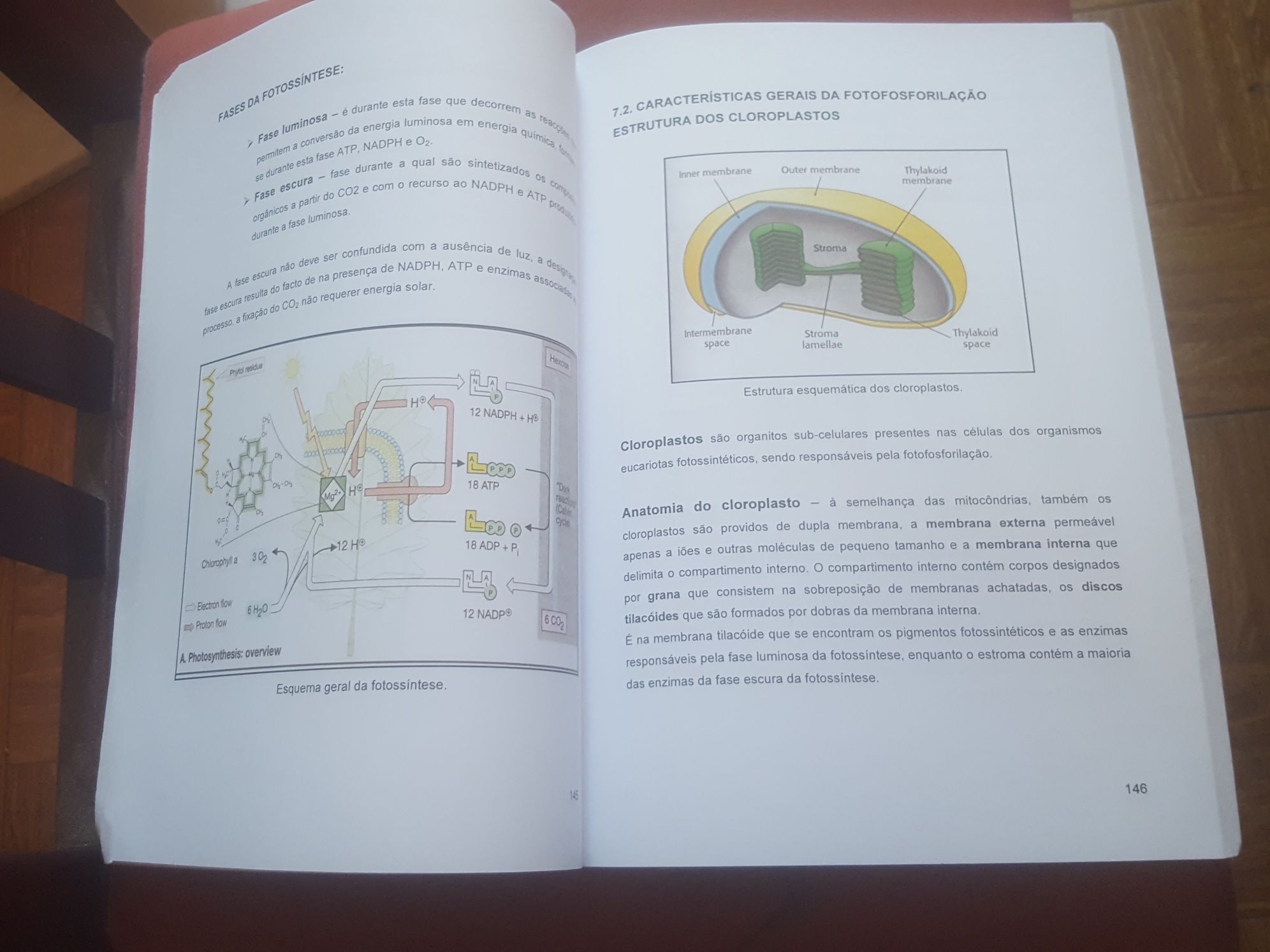 Livro  Faculdade  de Medicina  Veterinária  da  Universidade  de Lisbo