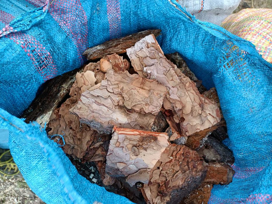 Kora sosnowa w workach