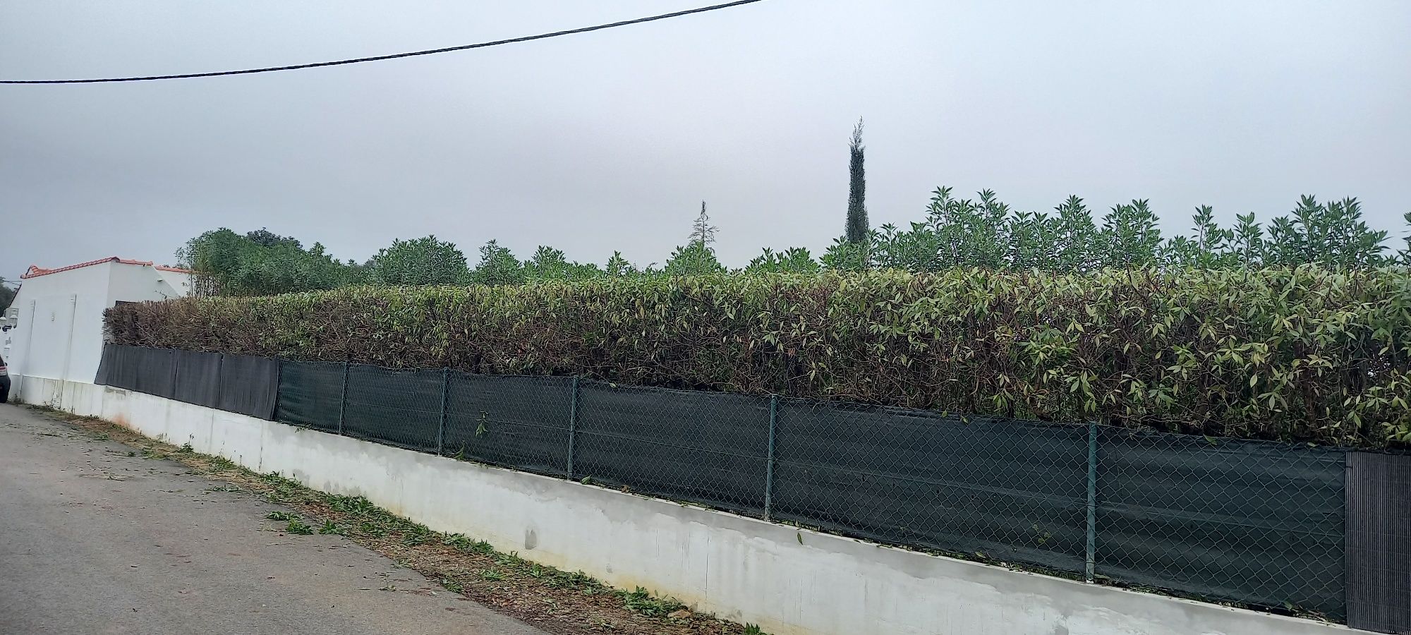 Faço jardins e limpezas de terrenos serviços d minigiratoria e tractor