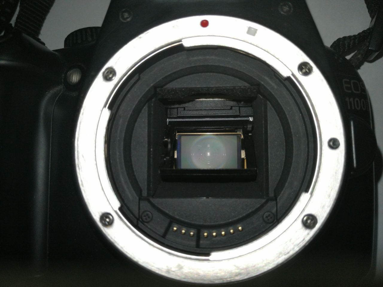 Máquina Fotográfica Digital CANON EOS 1100 D