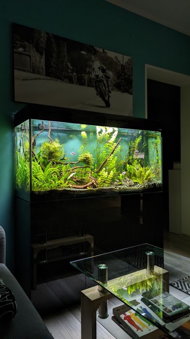 Zestaw akwarium Aquael Glossy 120 260L