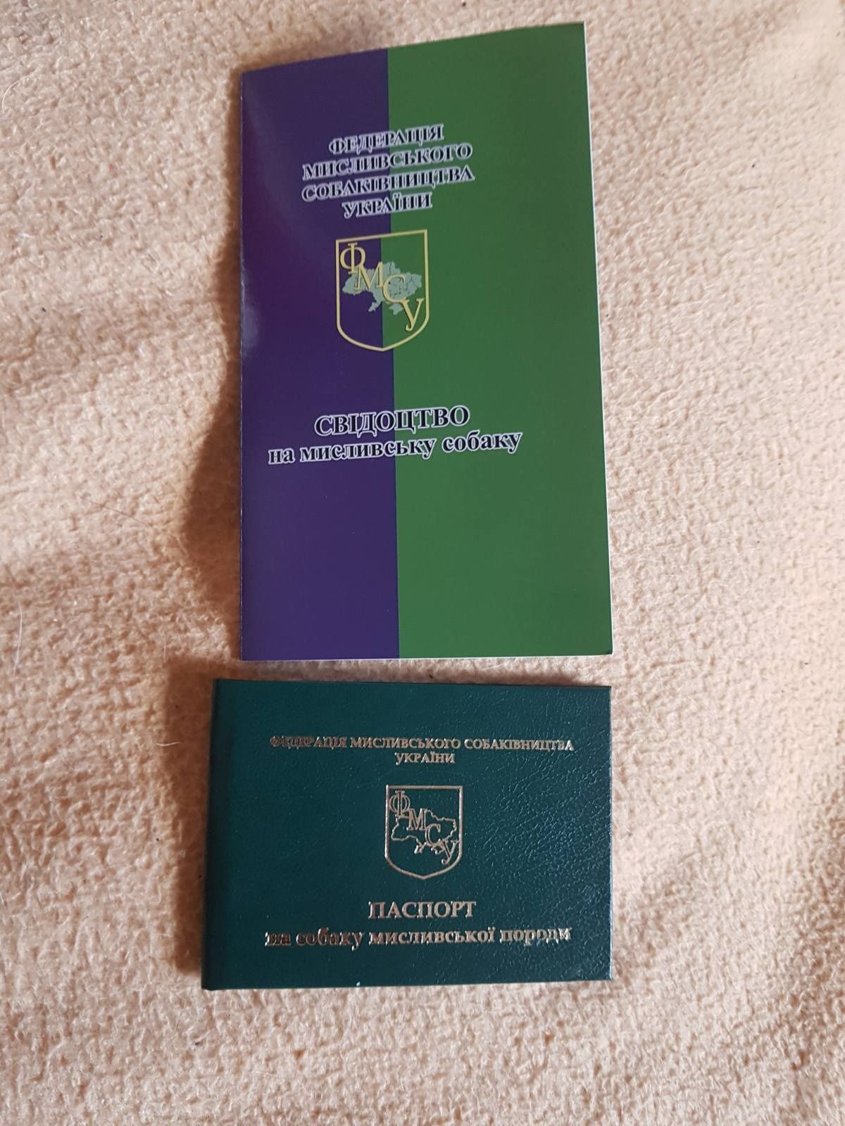 Фокстер'ер з документами ФМСУ, КСУ.