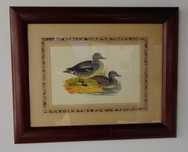 Quadro     patos