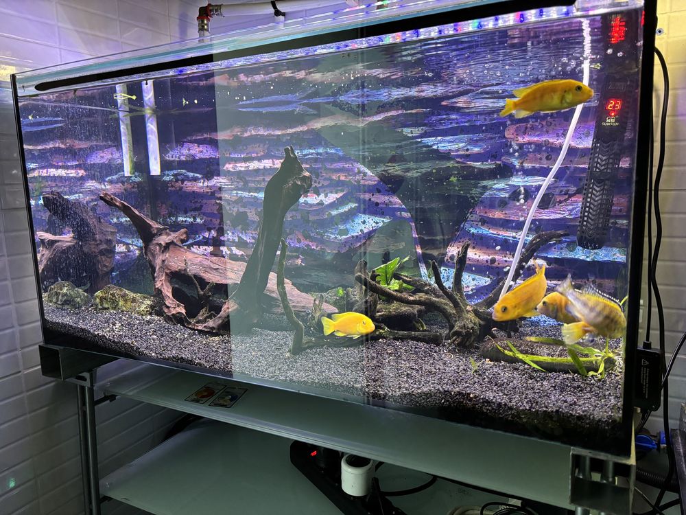 Aquario com iluminacao