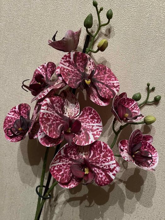 Орхидея фаленопсис искусственная композиция в горшке .Кошка статуэтка