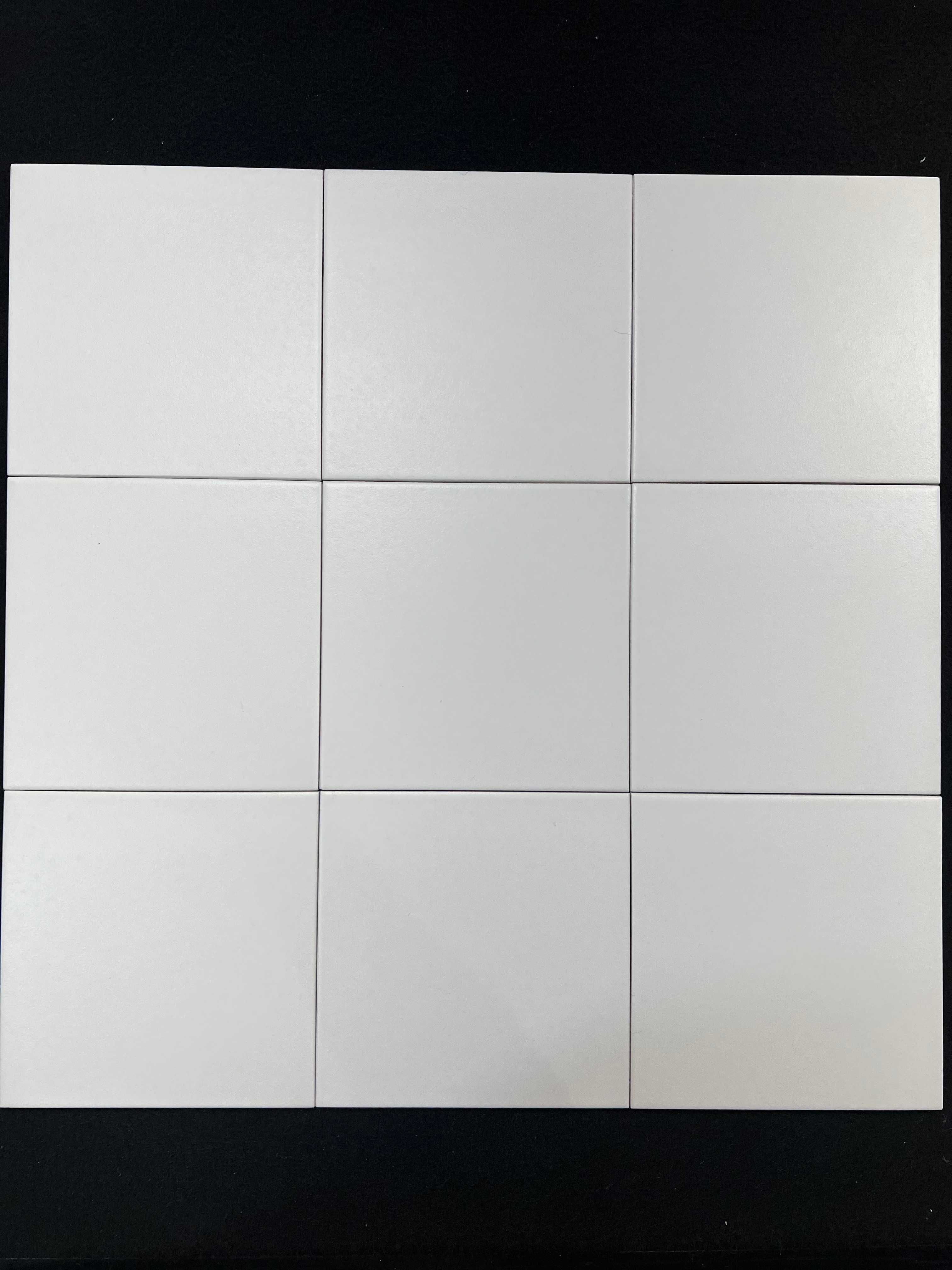 Płytki GRES 20x20 Neve Creative Bianco Białe Mat Szkl. podłoga PARADYŻ