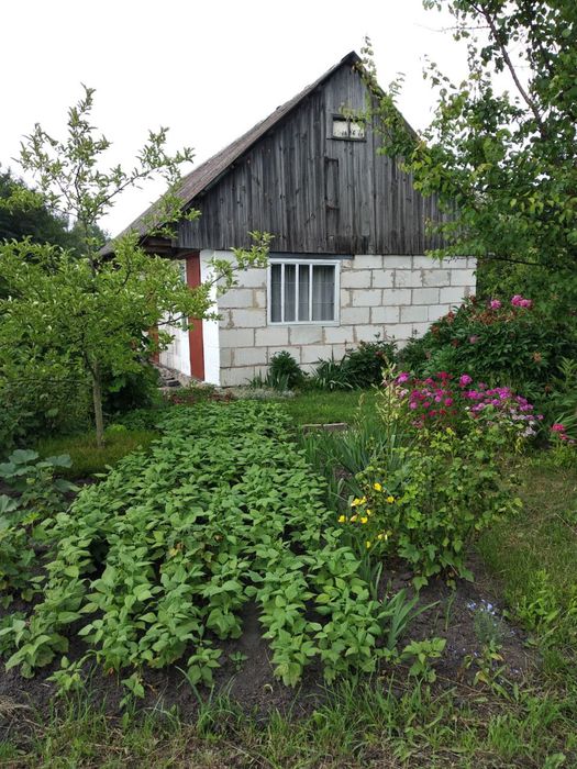 Продам будинок 1/2 в центрі містечка