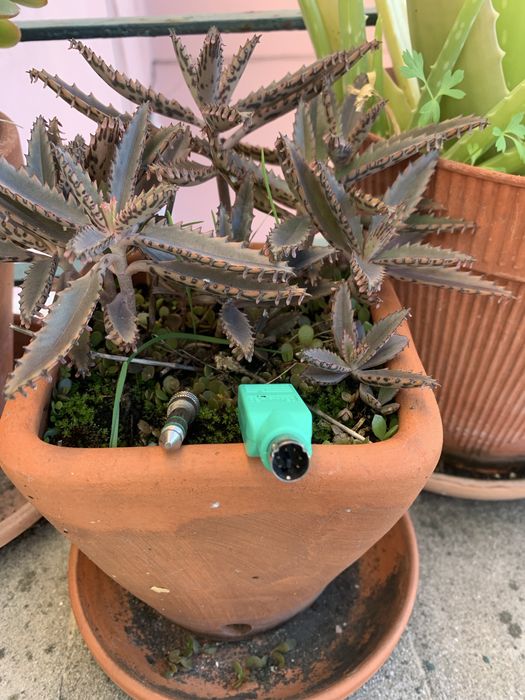 Adaptador USB femea>PS/macho + Adaptador Jack6.3 macho>Jack3.5 femea