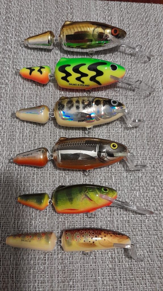 Salmo frisky i fanatic