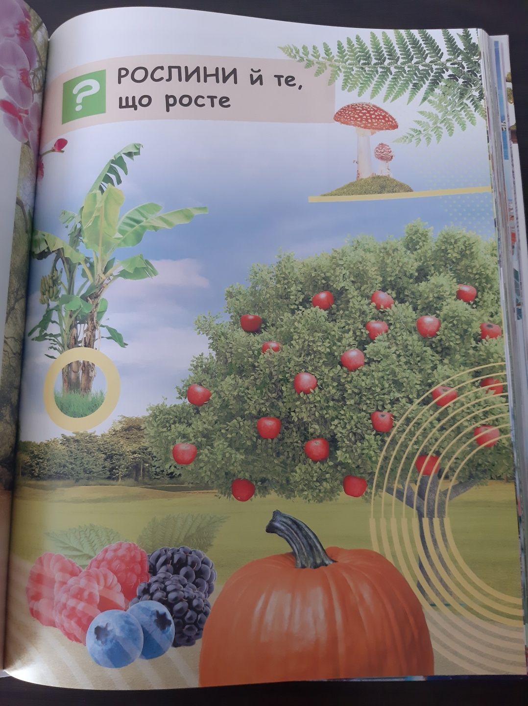 енциклопедія Чомусикам про все на світі.