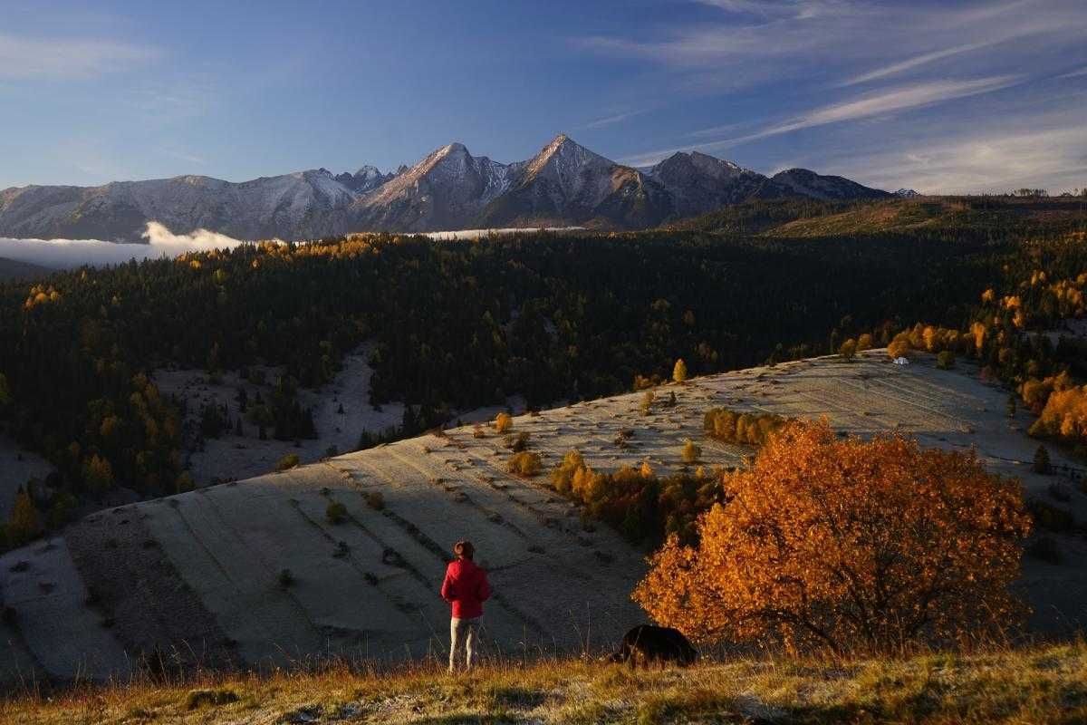 Apartament Dobra Nocka z widokiem na Tatry- Łapszanka