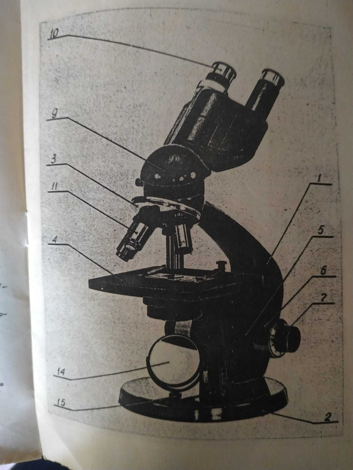 Microscópio excelente!