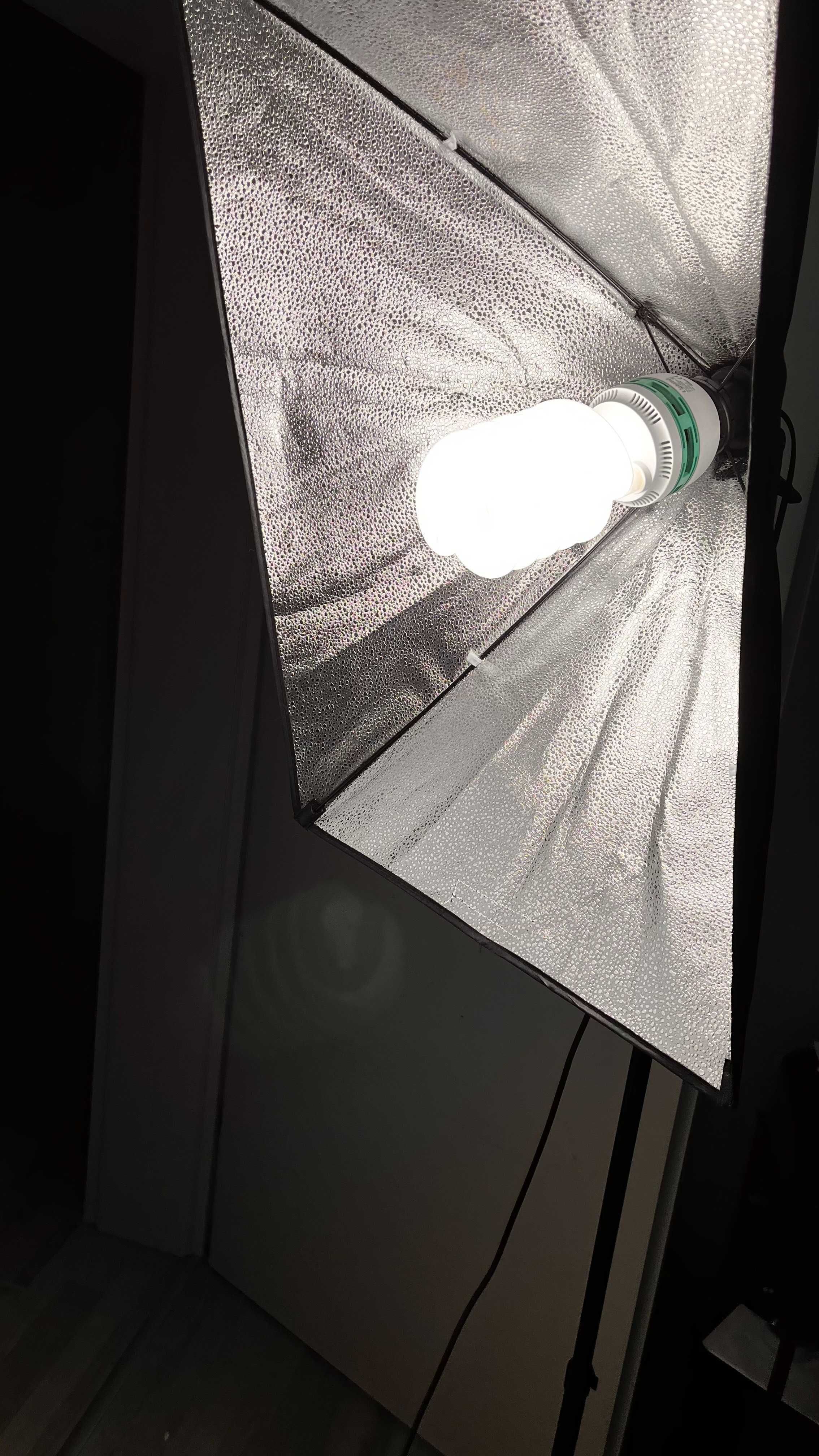 Softbox ze statywem i żarówką 50 x 70 cm 125 W