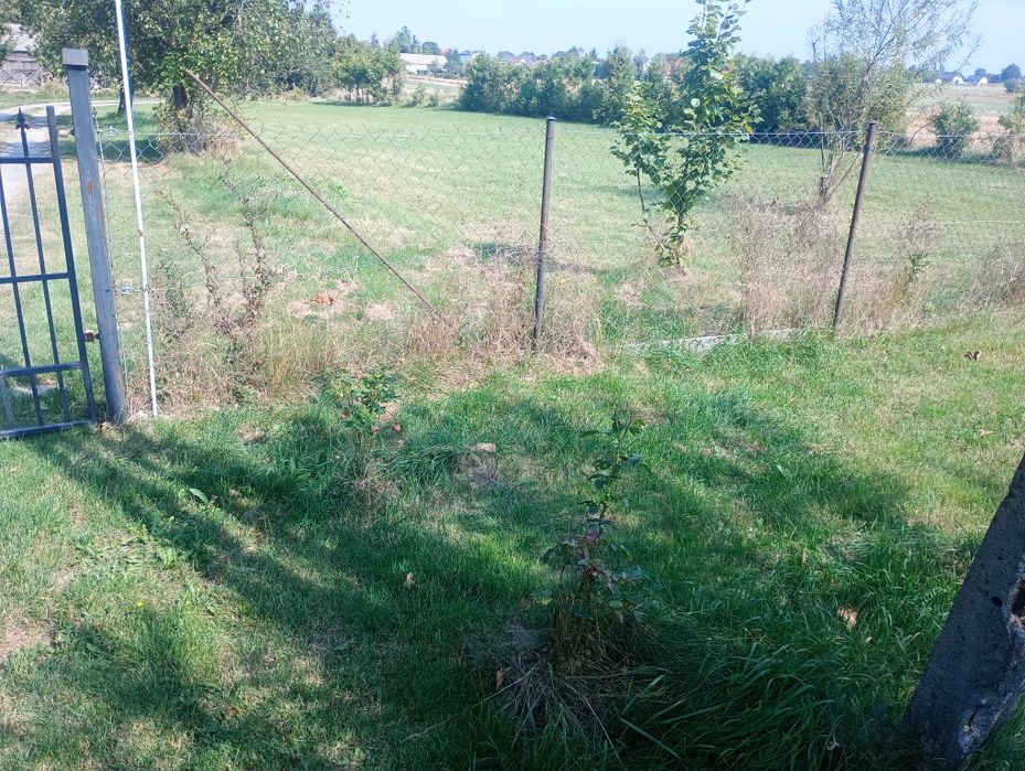 Dom siedlisko duża działka
