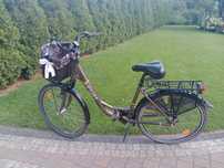 rower damka  Maxim