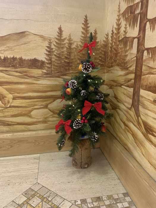 Pensjonat w Zakopanem apartamenty, noclegi, pokoje - centrum, spa.