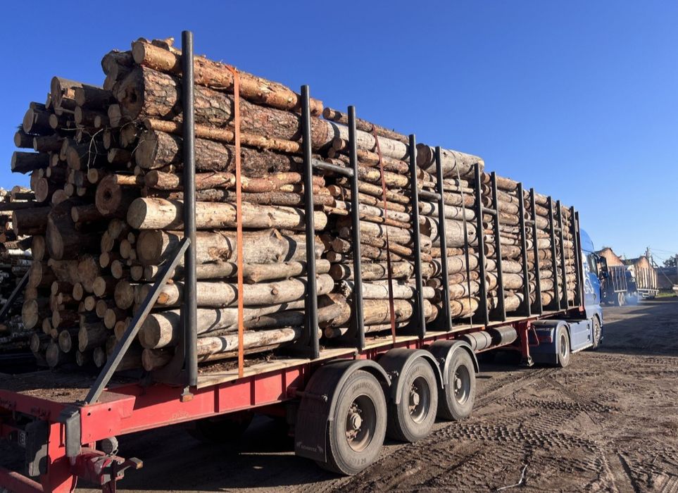 Дрова оптом та в роздріб без передплат напряму 5/12/20 кубів.