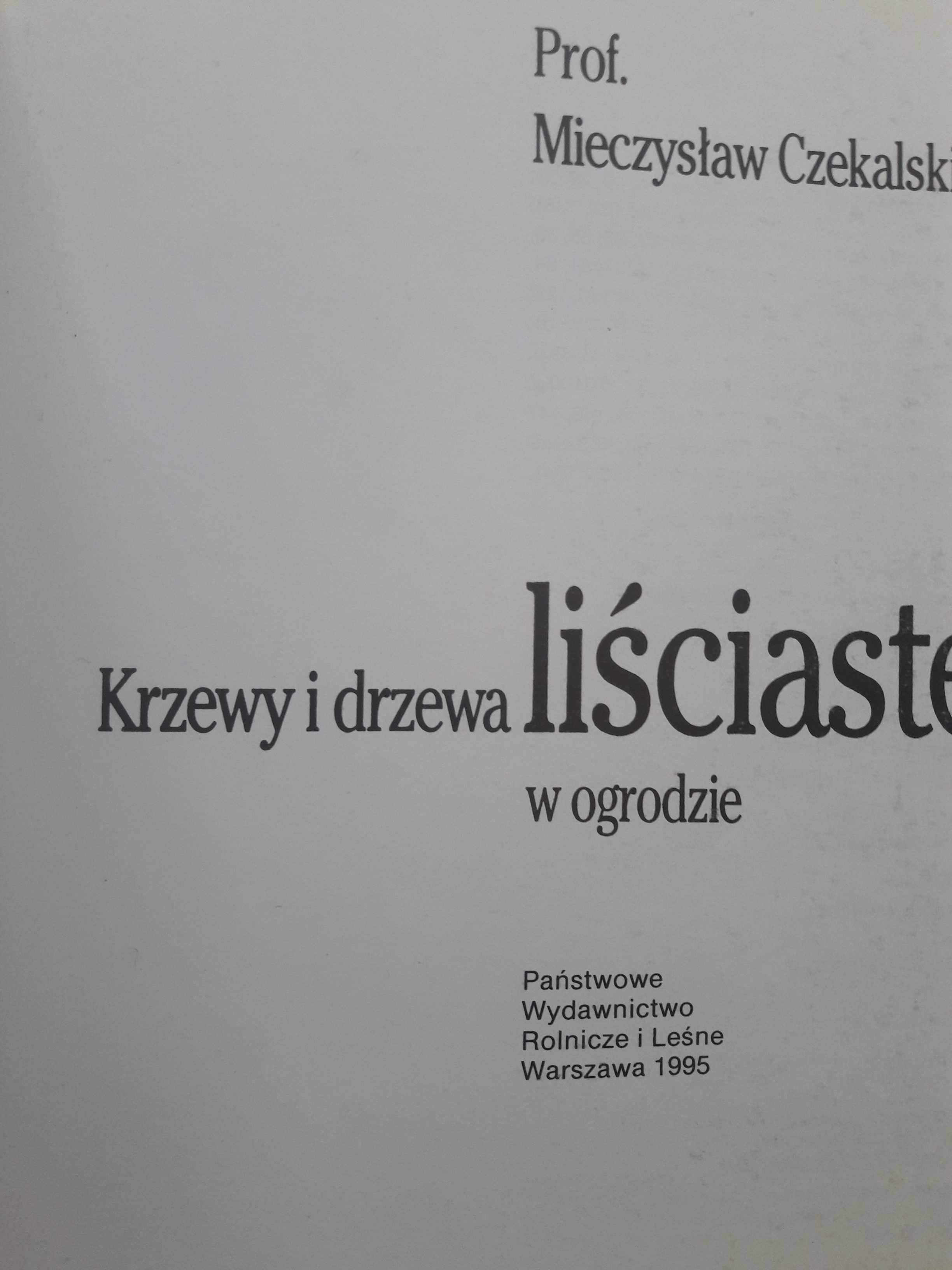 W ogrodzie_krzewy i drzewa liściaste _ogród_ogrodnik_działka