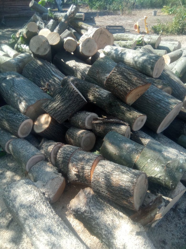 Продам дрова різних порід