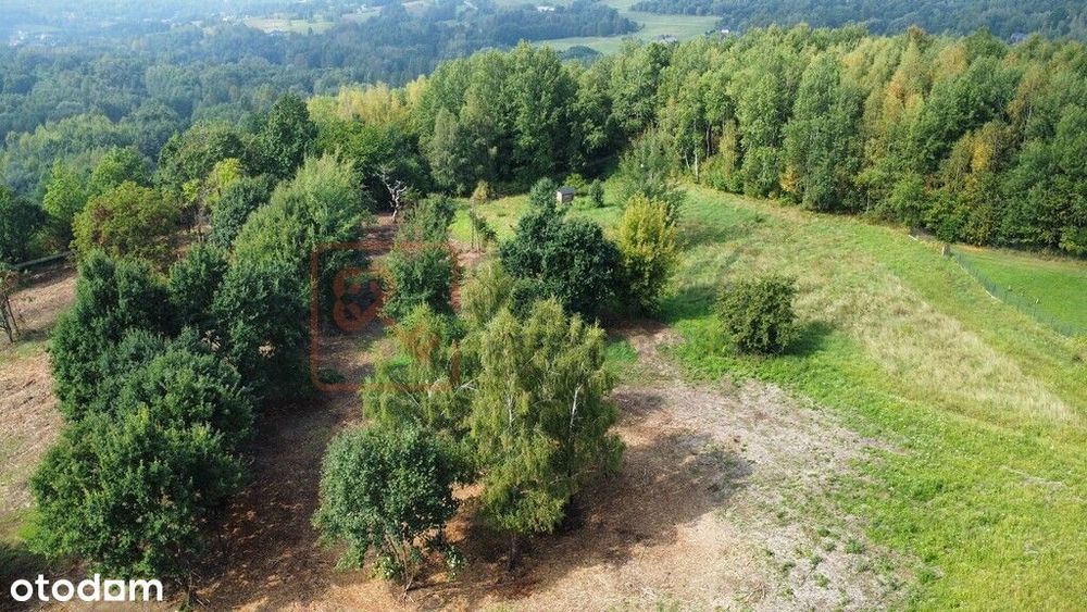 Widokowa działka budowlana z WZ 82ar Lubenia