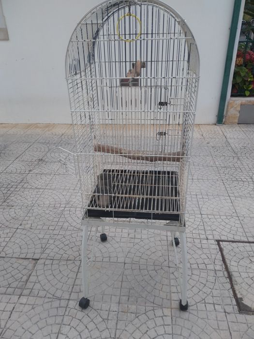Gaiola grande em bom estado.