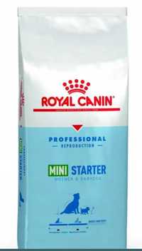 Starter Mini 20kg dla ras małych i miniaturowych Royal Canin