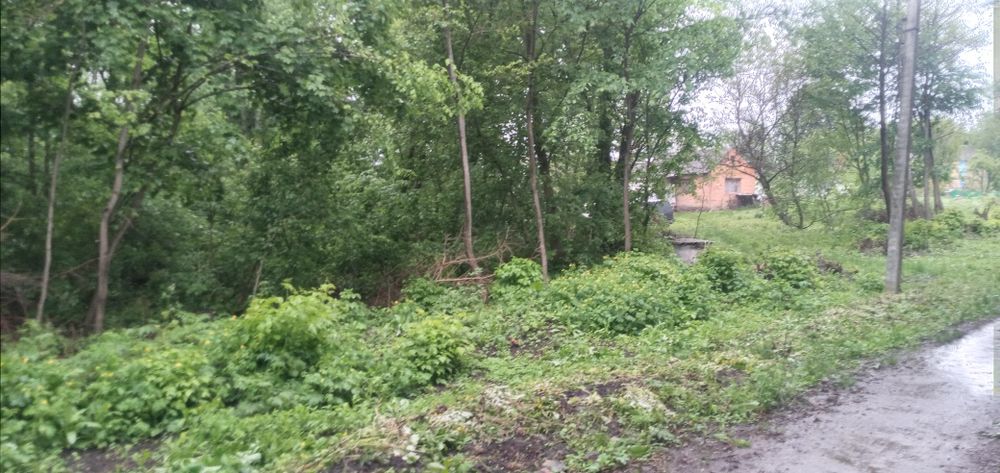 Продам будинок з земельною ділянкою