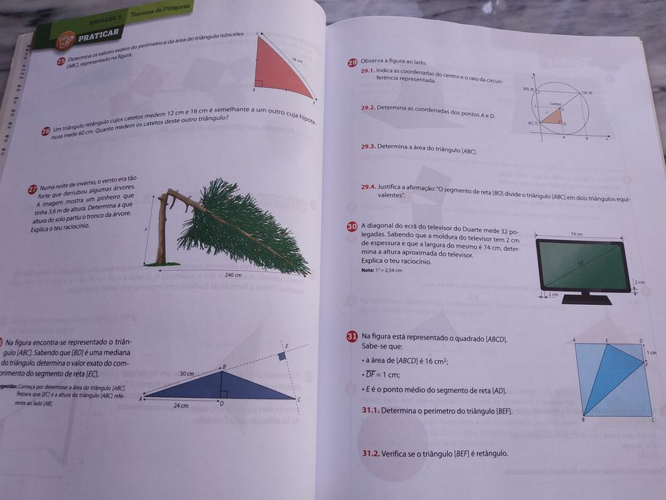 Livro atividades Matemática PI 8 ano