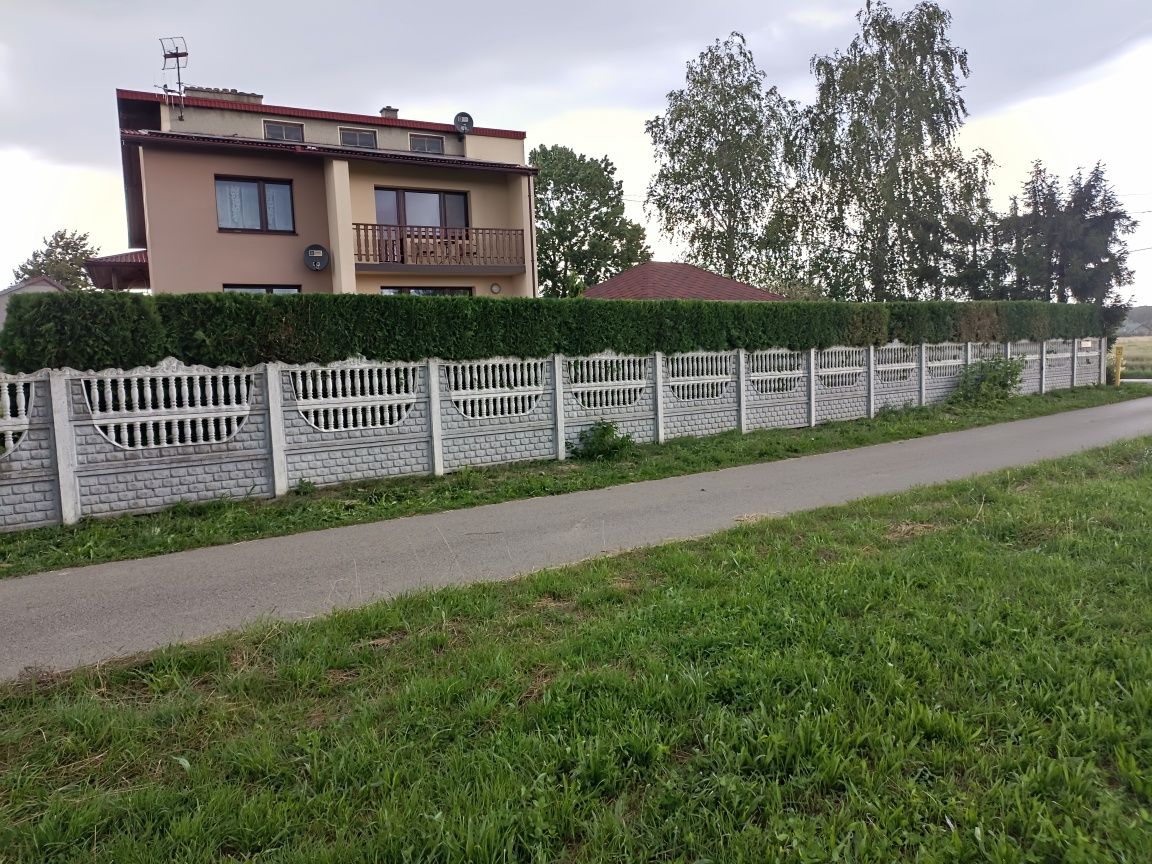 Przycinanie i wycinanie drzew i krzewów, zakładanie trawników i inne