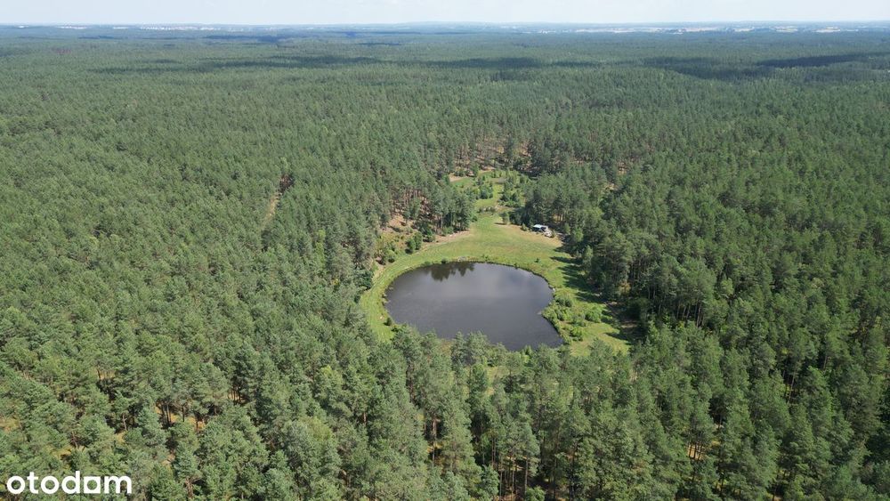 Kaszuby -działka rekreacyjna 42513 m² w środku lasu, prywatne jezioro
