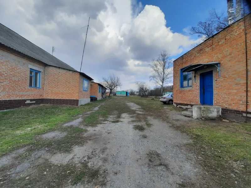 Нежитлові будівлі і споруди, 795,2 кв. м, вул. Котляревського, 179