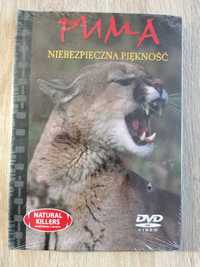 ,,Puma" niebezpieczna piękność DVD