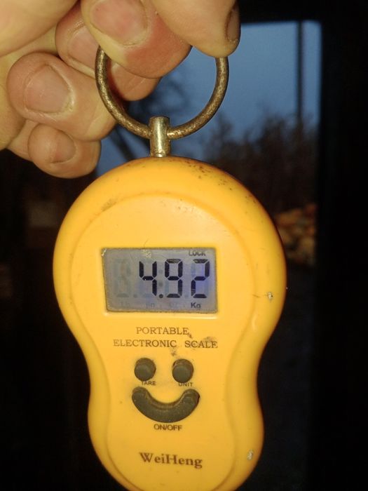 Продам кроля ...