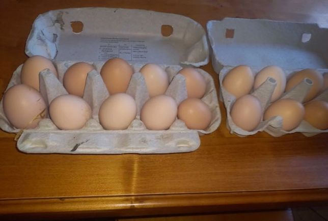 Wiejskie jajka 1,2/sztuka